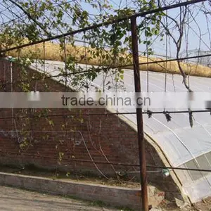 Chinese Style Sunlight Lean to Roof Solar Greenhouse Quality Choice thumbnail-3