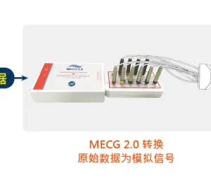 ECG Database Player Designed for System Validation and Software Algorithm Evaluation thumbnail-2