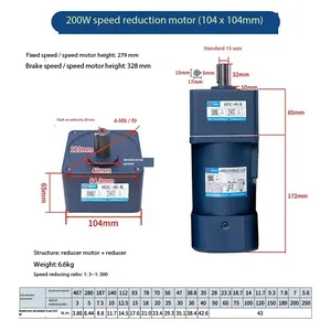 200W Constant Speed Motor 110V 220V Micro AC Gear Motor 1400rpm Maximum Load 440KG thumbnail-1
