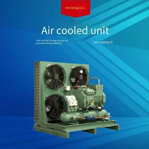 Low-temperature Cold Storage, Borun Refrigeration Cold Storage Matching Unit, 20 Hp, Model 4yg - 20.2, Excellent Configuration, Cold Storage With Excellent Configuration of Polyurethane Insulation Boards thumbnail-5