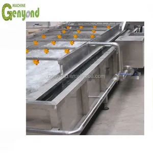 Shanghai Full Industrial Orange Apple Washing and Sorting Machines thumbnail-6
