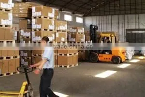 Freight Forwarding Company thumbnail-1