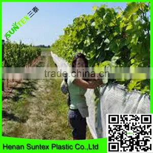 Hot Sale Cheap Price Plastic Bird Mist Net for Fruit Tree thumbnail-5