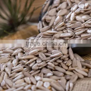 Hulled Sunflower Kernels Confectionary Grade and Bakery Grade thumbnail-2