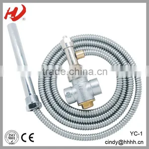 Safety Relief Valve thumbnail-1
