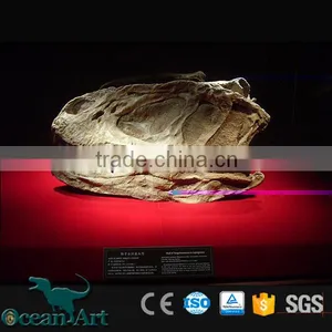 OAV3095 Life Size Dinosaur Fossil Head thumbnail-4