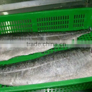 Frozen Saithe Fillet thumbnail-1