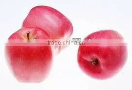 Apple Polyphenols Ext. thumbnail-1