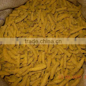INDIAN Turmeric Finger Variety thumbnail-1