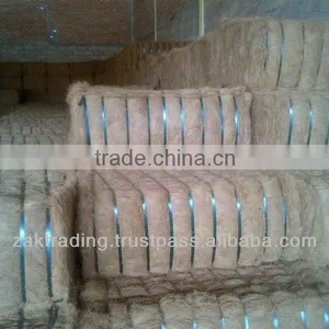 Premium Quality Coconut Fiber thumbnail-6