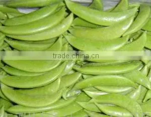 Snow Peas and Sugar Snaps thumbnail-1