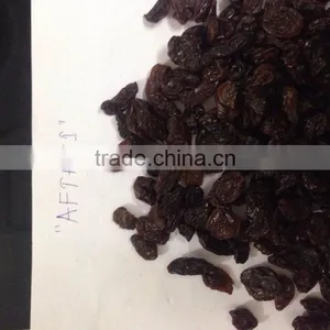 Raisins thumbnail-3