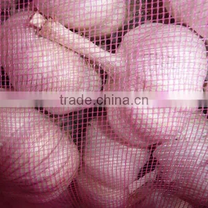 Exported Chinese 2015 New Crop Fresh Natural White Garlic 5 CM thumbnail-1
