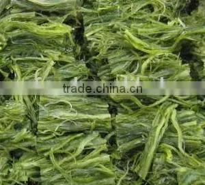 Cutted Seaweed Stem Strip thumbnail-1