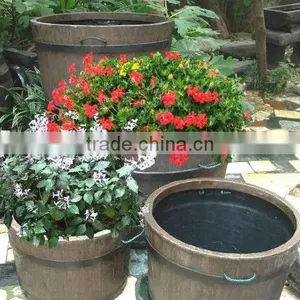Resin Plant RSPTG-60 thumbnail-1