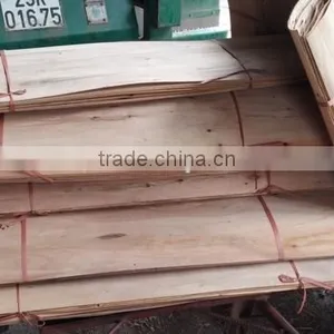 Full Core Veneer For Plywood Production - Straight Shape thumbnail-1