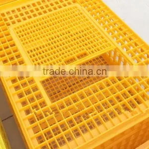 Poultry Equipment thumbnail-3