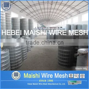 2016 Hot Sale Galvanized Welded Wire Mesh With Low Price thumbnail-1