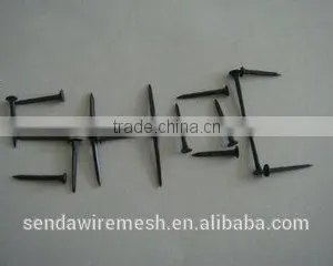 3/4" Shoe Nails thumbnail-1