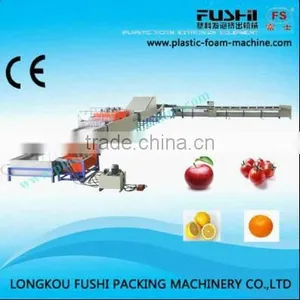 Electronic Fruit & Vegetable Washing Waxing and Grading Machine thumbnail-1