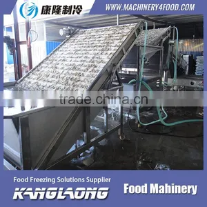 Small Fish And Shrimp Grading Machine thumbnail-3