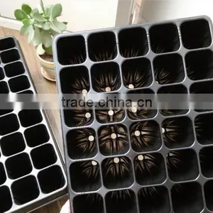Made in China Hot Sale Promotion Agriculture Seedling Tray thumbnail-6