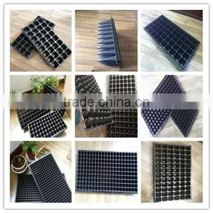 Multicell Plant Trays thumbnail-2