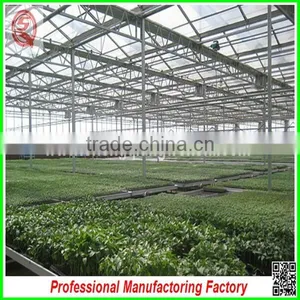 Top Quality Polycarbonate Board Agricultural Greenhouses With Muti Span thumbnail-3