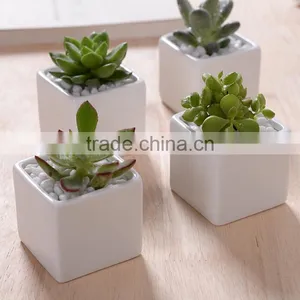 Indoor 2 Inch Small Rectangular White Ceramic Planters for Succulents thumbnail-2