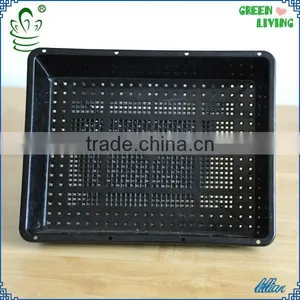 Garden Growing Tray Nursery Pot Mini Garden Wall Use thumbnail-1