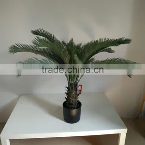 Decorative Sago Cycas Cycas Revoluta Artificial High Simulation Cycads Plant thumbnail-1