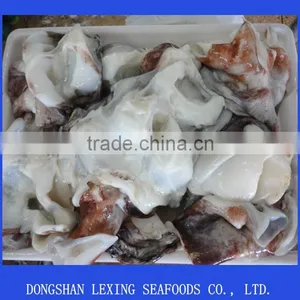 Frozen Giant Squid Neck thumbnail-1