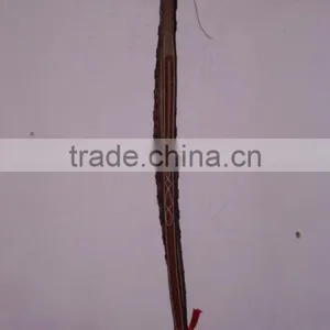 Leather Reins thumbnail-1