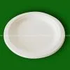 Eco-friendly Paper Plate thumbnail-1