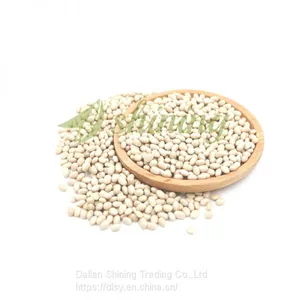 Navy Bean Small White Kidney Beans Haricot Beans thumbnail-5