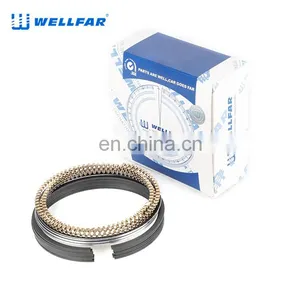 2M4862 Wellfar GMC Vortec 4300 Engine Piston Rings For Chevrolet Suburban Savana Sonomasilverado 1500,2500 Car Engines thumbnail-5