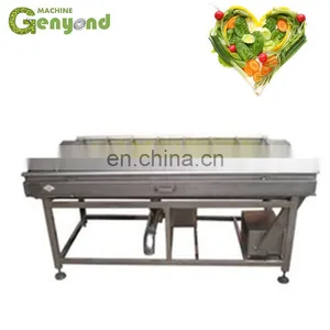 Equivalent Part for Vegetable and Fruit Four Station-selecting Conveyor Used Belt Tri-color Ccd Color Sorter Machine thumbnail-4
