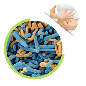 Supply Probiotics Powder Lactobacillus Paracasei Milky White To Light Yellow Powder For Gut Health thumbnail-1