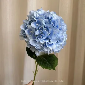 Wholesale Hydrangea Flowers With Stems - DIY Arrangement Hydrangea Flowers, Retailer Hydrangea Flowers thumbnail-1