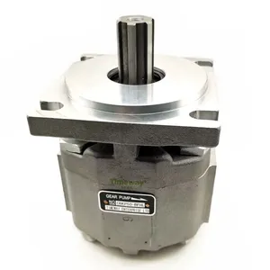 CBKP Hydraulic Gear Pump CBKP32 CBKP40 CBKP50 CBKP63 CBKP80 CBKP100 Crane High Pressure Gear Pump 250Mpa thumbnail-2