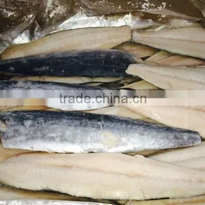 Frozen Spanish Mackerel Fillets thumbnail-2