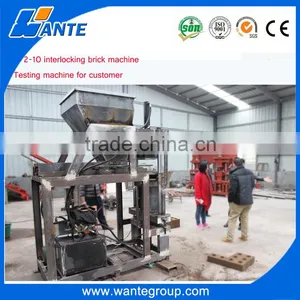 WT2-10 Ecological Bricks-hydraulic Press Eco Brava Machine thumbnail-3