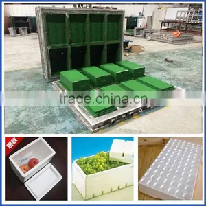 High Quality 6061 Eps Package Box Mould/eps Mould for Box thumbnail-1