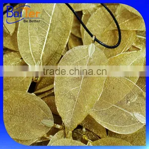 Gold Silver Plated Natural Real Leaf Charm Pendant Necklace Jewelry /Yellow Gold Plated Natural Leaf Necklace Wholesale Quality Choice thumbnail-1