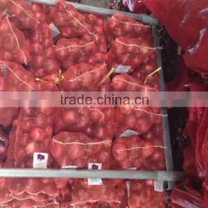 Fresh Onion Red Onion Dry Onion thumbnail-3
