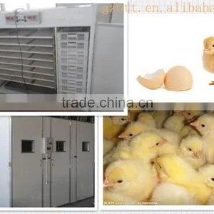 High Strength Steel Plate Egg Incubator thumbnail-1