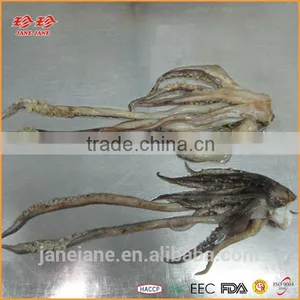 Frozen Squid Tentacle - Ommastrephes Bartrami thumbnail-3