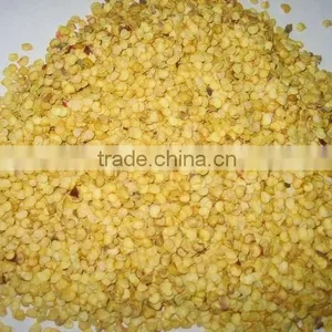 Paprika Chilli Seeds thumbnail-1