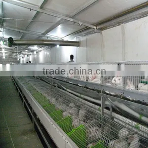 Automatic Battery Cage for Rabbit thumbnail-1