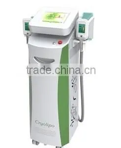 2014 Unparalleled Bottom Price 2 Cryolipolysis Hand Lose Weight Pieces Vertical Cryolipolysis Body Shape Beauty Machine Fat Reduction thumbnail-5